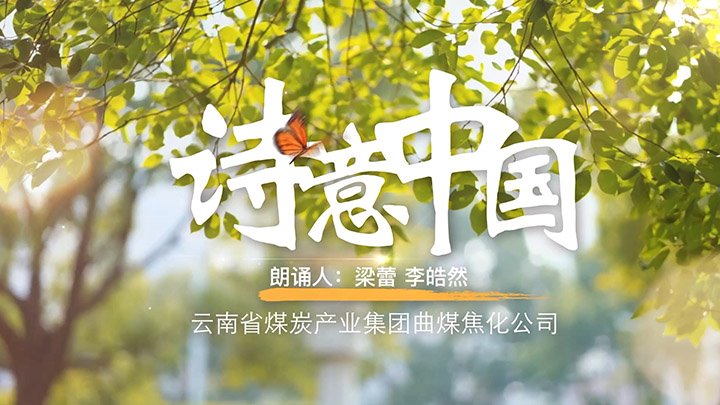 ۽ú̵ӽ䡤 ŷ硪úְͥжƷչ