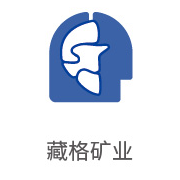 abpay爱博钱包合作同伴：藏格矿业